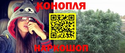 прущие крисы Малгобек