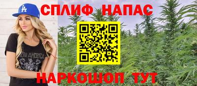 прущие крисы Малгобек