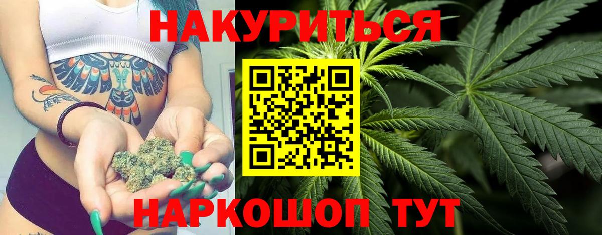 Каннабис SATIVA & INDICA Зима